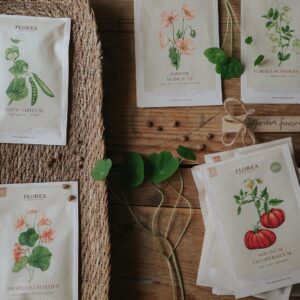 Seed packet illustrations